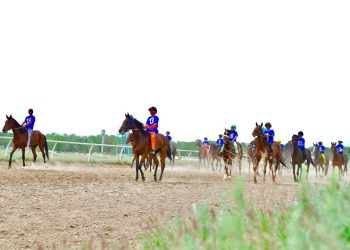В ЧЕСТЬ 80-ЛЕТИЯ ПОБЕДЫ ПРОШЕЛ РЕСПУБЛИКАНСКИЙ ТУРНИР НА КУБОК АКИМА ОБЛАСТИ