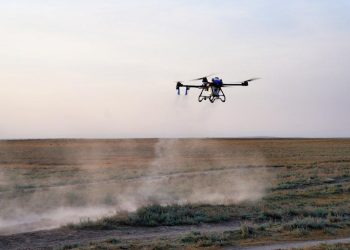 Шегіртке ошақтарын анықтауда барлау дрондары жоғары тиімділікті көрсетті