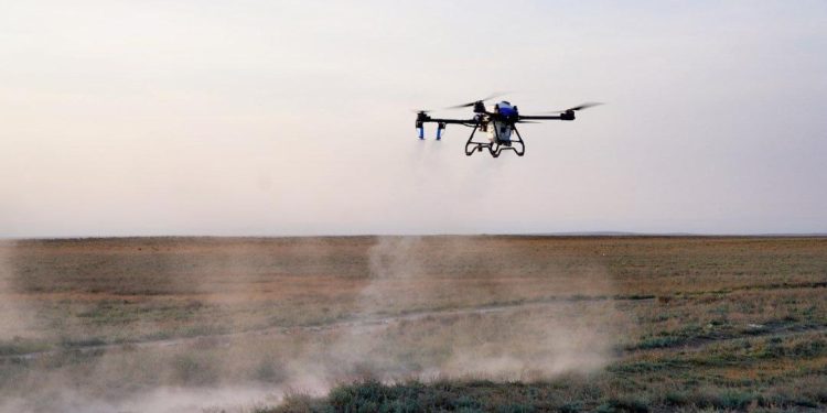 Шегіртке ошақтарын анықтауда барлау дрондары жоғары тиімділікті көрсетті