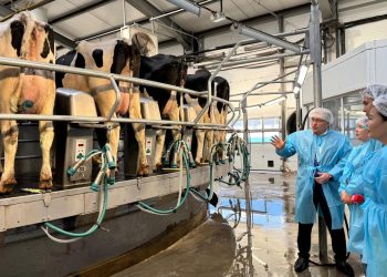 Павлодар облысы мал шаруашылығы саласында тұрақты даму серпінін көрсетуде