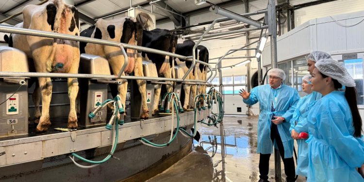 Павлодар облысы мал шаруашылығы саласында тұрақты даму серпінін көрсетуде