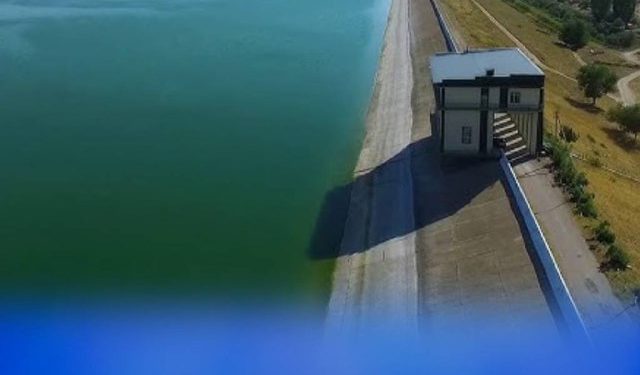 Түркістан облысында 134 мың гектардан астам жерде сор шаю жұмыстары аяқталды