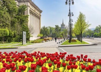 Қалалық аумақты көгалдандыру жоспарлануда