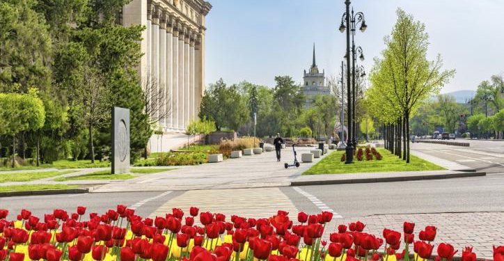 Қалалық аумақты көгалдандыру жоспарлануда