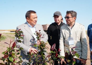 Шортанды ауданы инвестициялық белсенділіктің тұрақты өсімін көрсетіп келеді