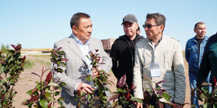 Шортанды ауданы инвестициялық белсенділіктің тұрақты өсімін көрсетіп келеді