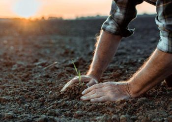 Алматы және Ақтөбе облыстарында фермерлік далалық мектептер құрылады