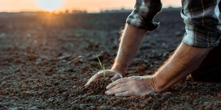 Алматы және Ақтөбе облыстарында фермерлік далалық мектептер құрылады