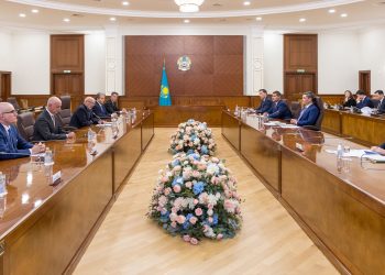 Үкімет жобаның сәтті жүзеге асуы үшін қажетті көмек көрсетеді