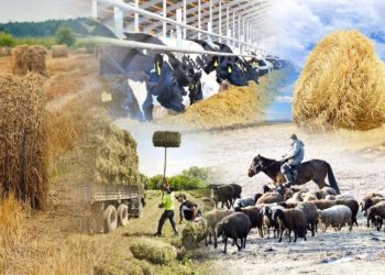 2025 жылғы 1 тамызда Қазақстанда Ұлттық ауыл шаруашылығы санағы басталады