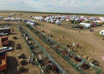 Ақмола облысы еліміздің жетекші аграрлық өңірі мәртебесін нық ұстап келеді