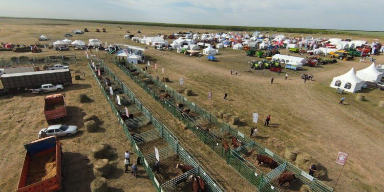 Ақмола облысы еліміздің жетекші аграрлық өңірі мәртебесін нық ұстап келеді