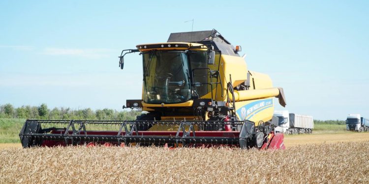 Ақмола облысының диқандары күздік бидай оруды бастады