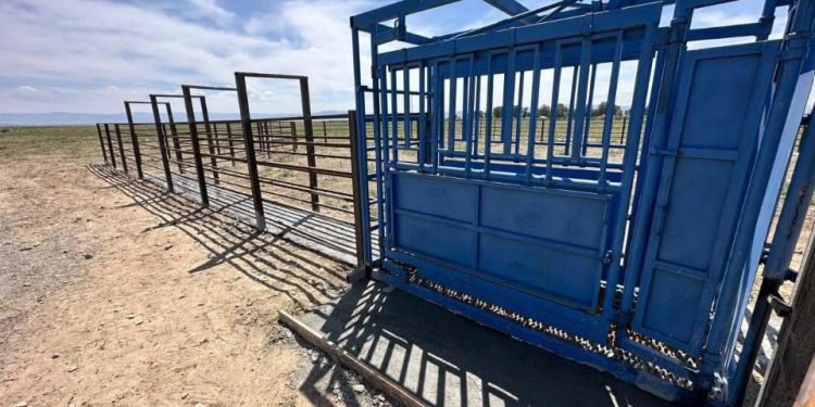 Бұл бастама – ауыл шаруашылығын тұрақты дамытуға бағытталған маңызды қадам