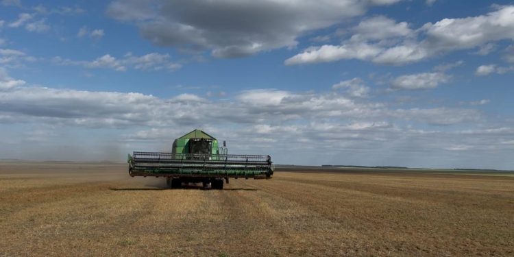 Мемлекет меншігіне 3,5 мың гектарға жуық ауыл шаруашылығы жері қайтарылды