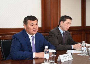 Қызылорда облысында жаңа жобаны жүзеге асыру жолдары қарастырылуда