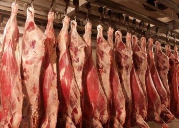 Отандық өнімнің сапасы мен бәсекеге қабілеттілігі