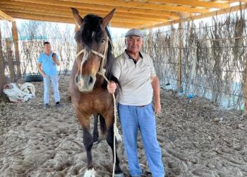 Серімов Есет: жарты ғасырлық жол – мал шаруашылығында