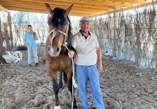 Серімов Есет: жарты ғасырлық жол – мал шаруашылығында