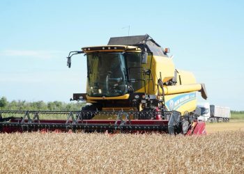 2025 жылғы егін жинау науқанының барысы