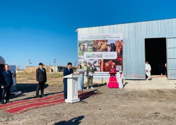 Өндірістің негізі – ірі қара малдың, жылқылардың және өзге де жануарлардың терілерін қайта өңдеу