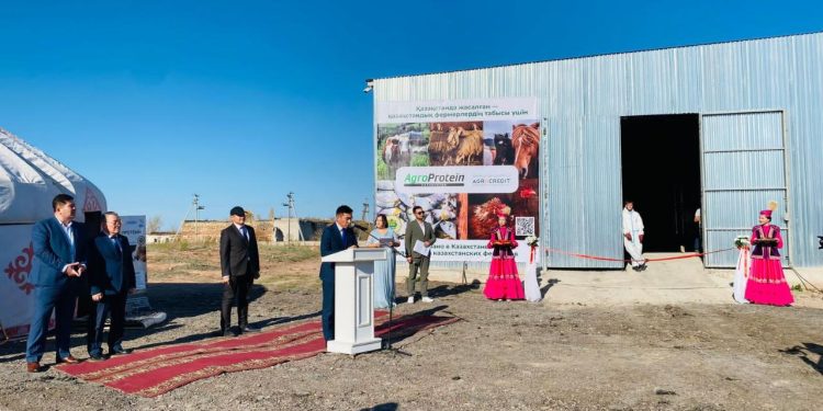 Өндірістің негізі – ірі қара малдың, жылқылардың және өзге де жануарлардың терілерін қайта өңдеу