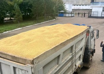 Элеваторлық қуаттарды босату бойынша шаралар кешенін іске асырылуда