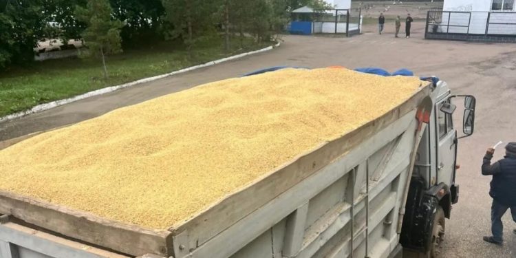 Элеваторлық қуаттарды босату бойынша шаралар кешенін іске асырылуда