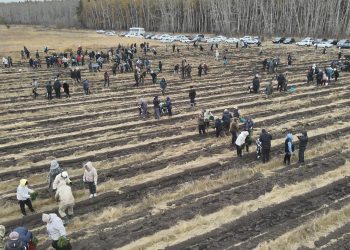 «Таза Қазақстан» республикалық акциясы аясында Солтүстік Қазақстан облысы Есіл ауданында 40 000 ағаш отырғызылды.