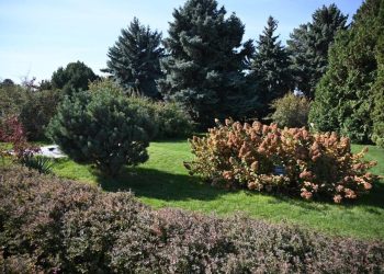 Алматының Алмалы ауданында тағы бір жасыл демалыс аймағы жаңартылады