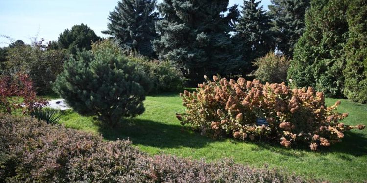 Алматының Алмалы ауданында тағы бір жасыл демалыс аймағы жаңартылады