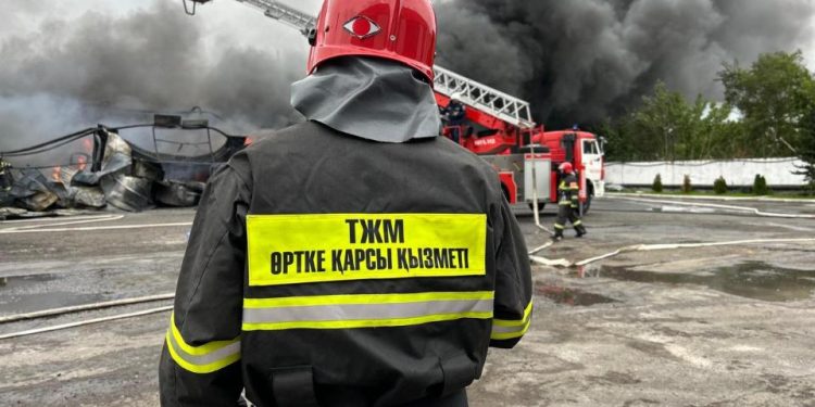 Құтқару миссиясы: артында тағдыр тұрған көрсеткіштер