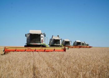 Бүгінгі нәтиже – мемлекет пен диқандардың бірлескен еңбегінің жемісі