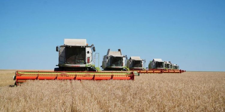 Бүгінгі нәтиже – мемлекет пен диқандардың бірлескен еңбегінің жемісі