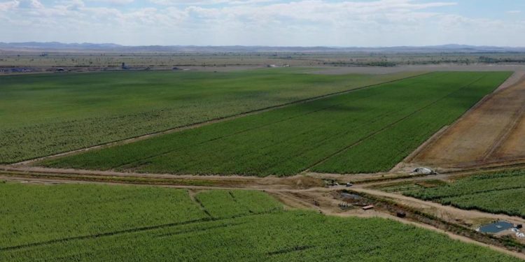 Абай облысында егіс алқабы 22 мың гектарға артты