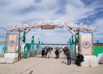 Мақта – Түркістан облысының аграрлық секторының негізгі бағыттарының бірі