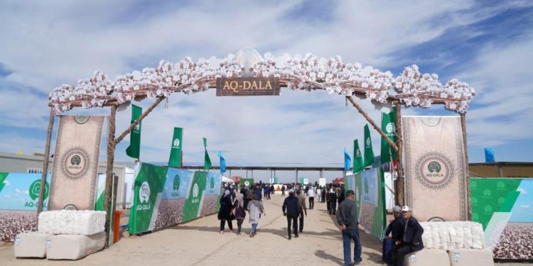 Мақта – Түркістан облысының аграрлық секторының негізгі бағыттарының бірі