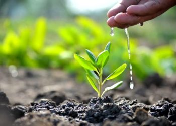 Агротехнология уақыт пен ресурсты үнемдеуге мүмкіндік береді