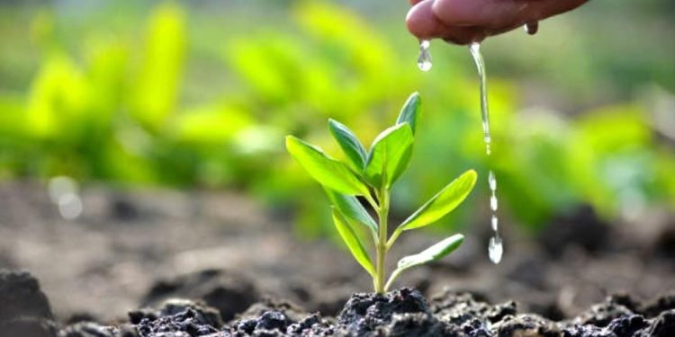 Агротехнология уақыт пен ресурсты үнемдеуге мүмкіндік береді