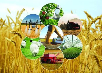 Аграрлық саладағы тұрақты өсім мен инвестициялық мүмкіндіктер