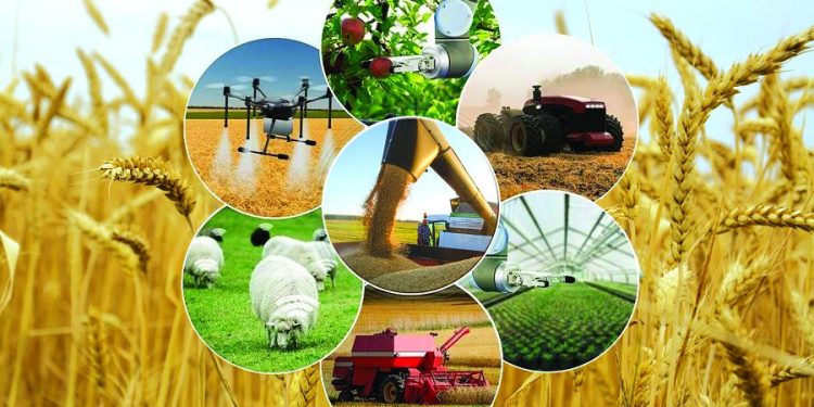 Аграрлық саладағы тұрақты өсім мен инвестициялық мүмкіндіктер