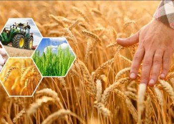 Өңір ауыл шаруашылығының барлық бағыттары бойынша өсім көрсетуде