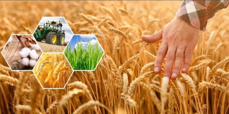 Өңір ауыл шаруашылығының барлық бағыттары бойынша өсім көрсетуде