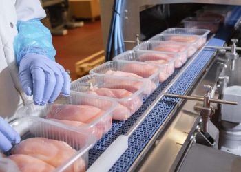 Біздің мақсат – ауданда өндірілген өнімді қайта өңдеу үлесін көтеру