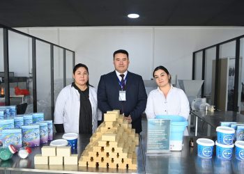 ӨТКЕН 11 АЙДА 28 МЫҢҒА ЖУЫҚ АДАМ ТҰРАҚТЫ ЖҰМЫСПЕН ҚАМТЫЛДЫ