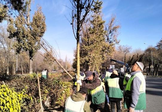 Алматыда 570 мыңнан астам жасты қамтыған 500-ден аса экологиялық іс-шара өткізілді