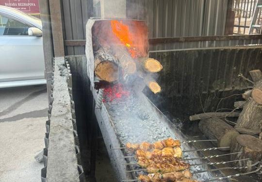 Алматыда қатты отын қолданатын кәуапханаларға бақылау күшейтілді