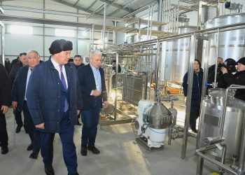 ҚЫЗЫЛОРДАДА ТҮЙЕ СҮТІНЕН ҚҰРҒАҚ ҰНТАҚ ШЫҒАРАТЫН ЗАУЫТ САЛЫНУДА