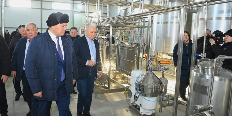 ҚЫЗЫЛОРДАДА ТҮЙЕ СҮТІНЕН ҚҰРҒАҚ ҰНТАҚ ШЫҒАРАТЫН ЗАУЫТ САЛЫНУДА