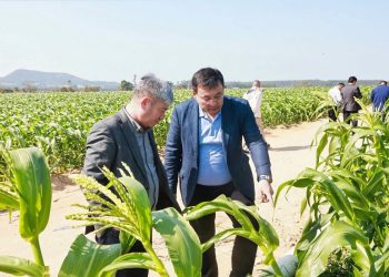 СЫР ӨҢІРІ ҚЫТАЙМЕН АГРОӨНЕРКӘСІП САЛАСЫНДАҒЫ ЫНТЫМАҚТАСТЫҚТЫ КЕҢЕЙТУДЕ